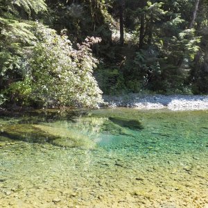 Media 'I took my bike up the Tahsis river.  It doesn't look deep, but it's over my head.' in album 'Although I launched in Moucha Bay, this is a picture back up towards Gold River.'
