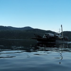 Early morning fuel delivery at Esperanza.  Not a fuel barge, a landing barge with two fuel trucks on board.