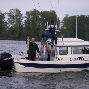 Springer limit caught at Bachelor Island, Columbia River