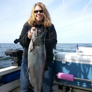 Nice King from Westport