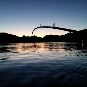 Trolling Hoiss Point before sunrise