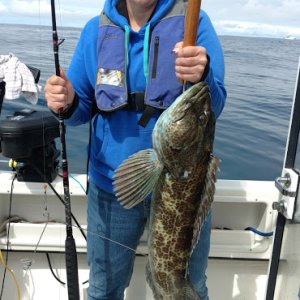 Traci\'s lingcod on new rod