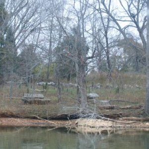 Media 'This was pasture land with a herding dog, that our dog Skipper enjoyed coyote-yipping with' in album 'Knoxville Tennessee, our starting point.'