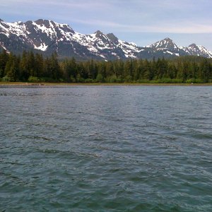 Media 'View of mountains facing west in Oliver Inlet.  Large boulders dot the shoreline.  Bears are well camouflaged.' in album 'Approaching Oliver Inlet'