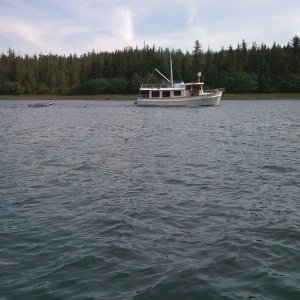 Media 'My next boat?' in album 'Approaching Oliver Inlet'