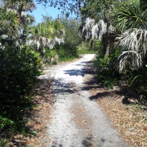 trails