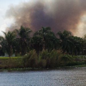 Florida wildfires