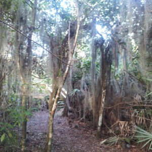 a park in Florida