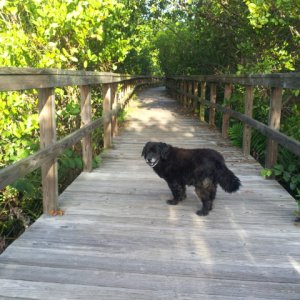 Darius at the park