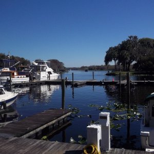 Hontoon Island Marina and Y Knot