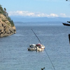 Daydream and Motion Granted Rafted in Matia Cove