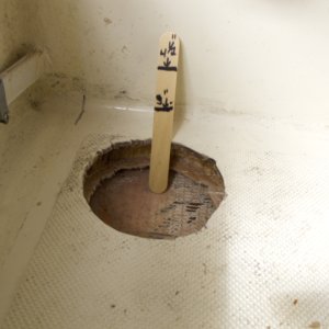 Media 'Depth of hole' in album 'Inspection hole in forward berth sole'