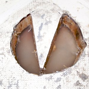 Media 'Water in aft inspection hole' in album 'Inspection hole in forward berth sole'