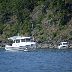 Continued around to Reid Harbor and grabbed a buoy next to Agostino