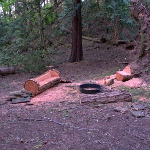 Media 'Campfire bench cut from a log' in album 'Departing the marina early on May 9th, before sunrise'
