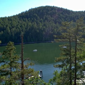 View from hill above Reid Harbor