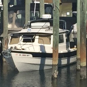 Media 'c-dory1' in album 'c-dory1'