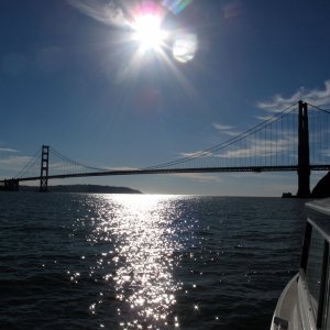 Media '' in album 'Angel Island & Golden Gate Bridge'