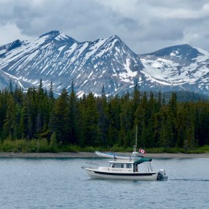 Media 'Silvertip on Lake Atlin in NW British Columbia, June, 2017' in album 'Silvertip on Lake Atlin in NW British Columbia, June, 2017'
