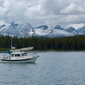 Media 'Silvertip On Lake Atlin' in album 'Silvertip on Lake Atlin in NW British Columbia, June, 2017'