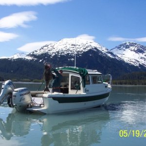 Media '(C-Biscuit) Fish on the Biscuit' in album '(C-Biscuit) A nice 45 lb halibut'