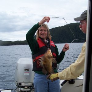 (C-Biscuit) Alisha's rockfish