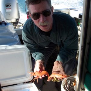 Media '(C-Biscuit) Shrimp!' in album '(C-Biscuit) A nice 45 lb halibut'