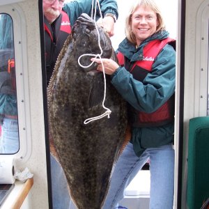 (C-Biscuit) Alisha\'s Halibut