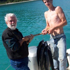 Media '(C-Biscuit) A nice mess of silvers' in album '(C-Biscuit) A nice 45 lb halibut'