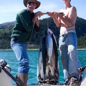 Limit of Coho