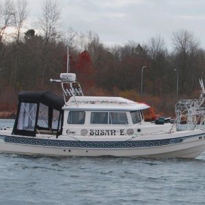 Media 'A better picture of the fully decorated Susan E.' in album 'DSC 0001'