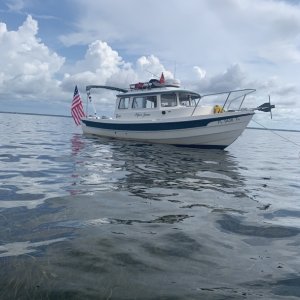 Media 'Piper Jane scalloping 2025' in album 'Piper Jane in Florida'