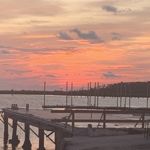 Media 'Steinhatchee sunset' in album 'Piper Jane in Florida'