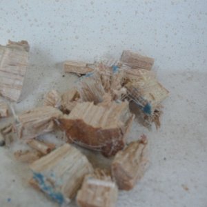 Some of the removed core, dry.