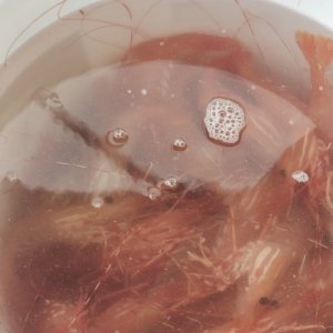Shrimping Prince William Sound