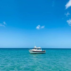 Venice Florida