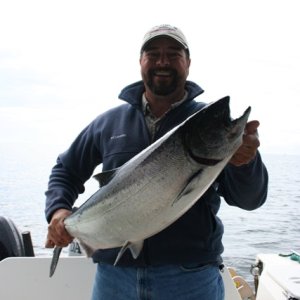 tommy sook inlet salmon