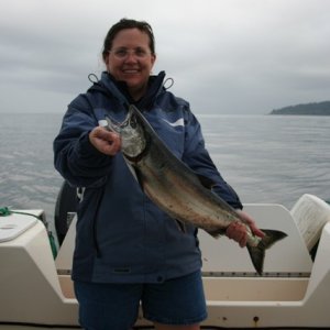 susan's sooke inlet salmon
