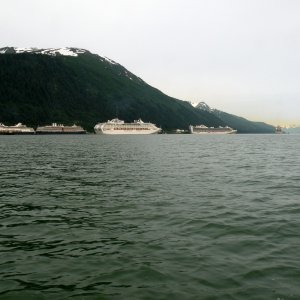 Cruise ship invasion