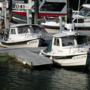 Media '16' Angler & Cruiser @ Douglas Harbor' in album 'Cachita ready to launch from Douglas Harbor'