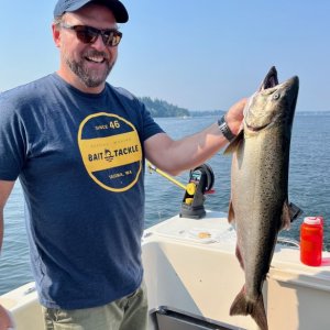 Media 'Back Yard Chinook - Olympia' in album 'San Juan Pinks'