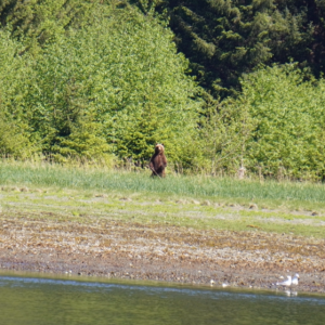 Standing near Sister Lake