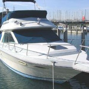 Nosey Boat!