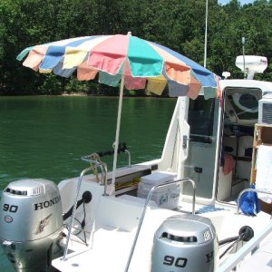 AC Work in Progress, Rails Mounted and work great, Unbrella...for quick cheap shade...that is storable.