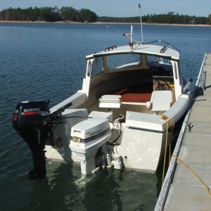 (Byrdman) C-Byrd\'s 1st Byrd Bath in Bama, Lake Martin