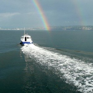 C90 CRUISER RAINBOW
