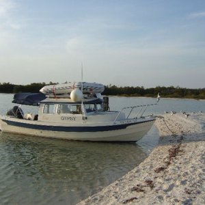 Gypsy Beached