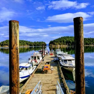 Media 'Taking over the dock' in album 'Matia Island'