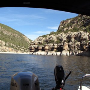 Off the stern