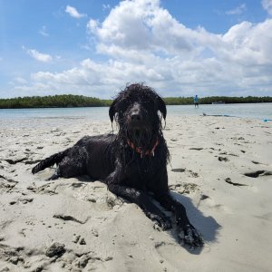Tallulah Living Her Best Life